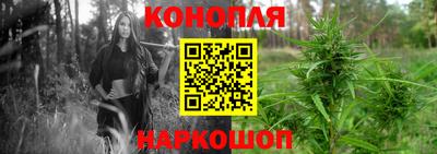 стафф Заволжье
