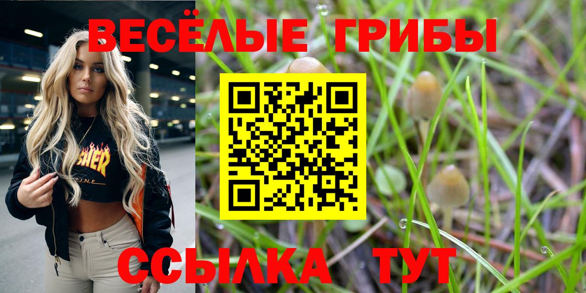 Псилоцибиновые грибы прущие грибы  Вход с VPN  Курганинск 